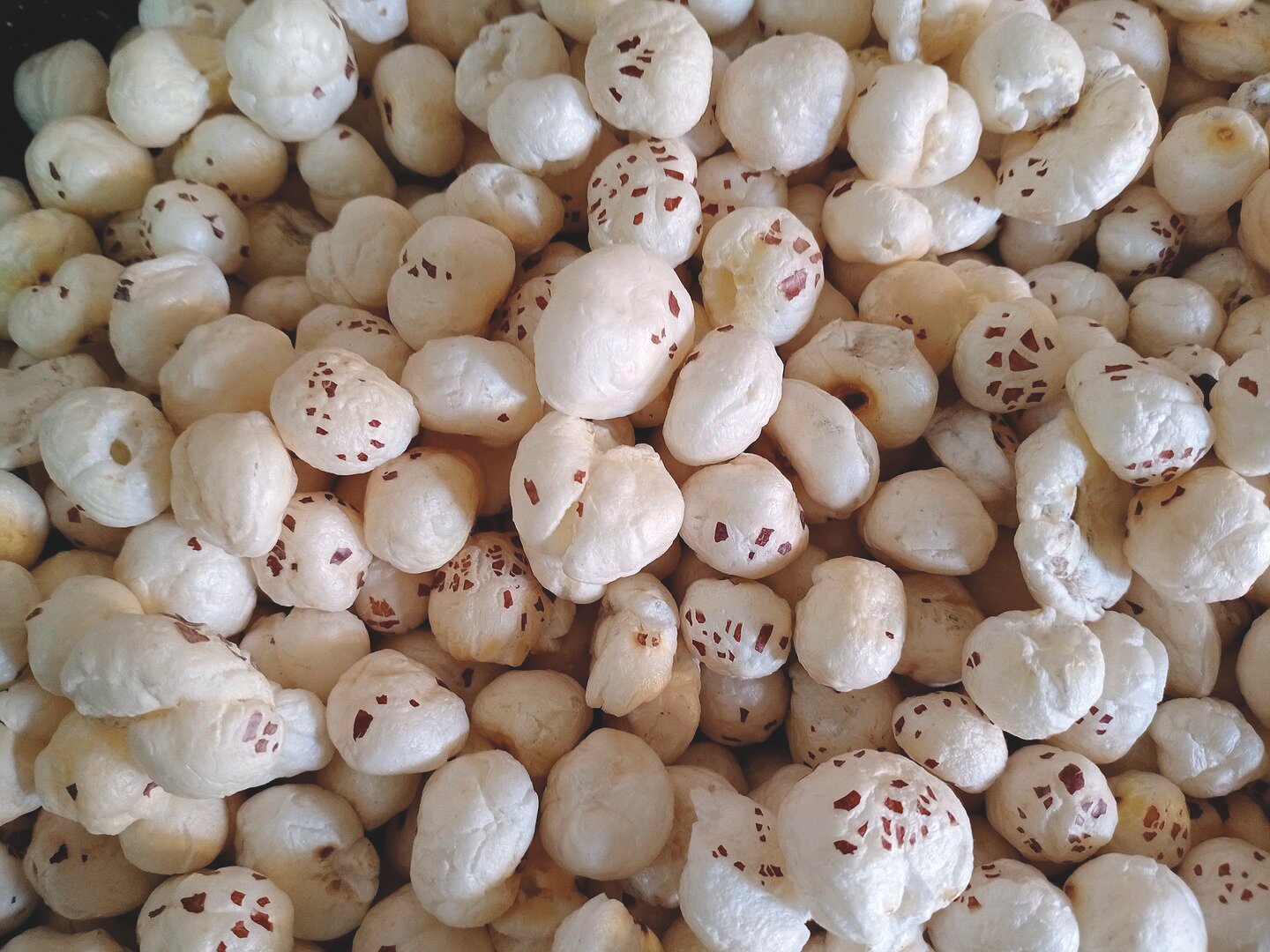Premium roasted Plain Makhana (foxnuts)